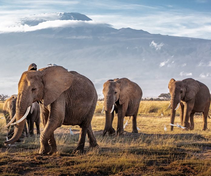 5 Affordable Destinations To See In May