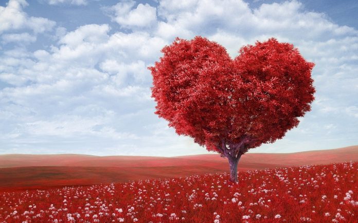 Valentine's